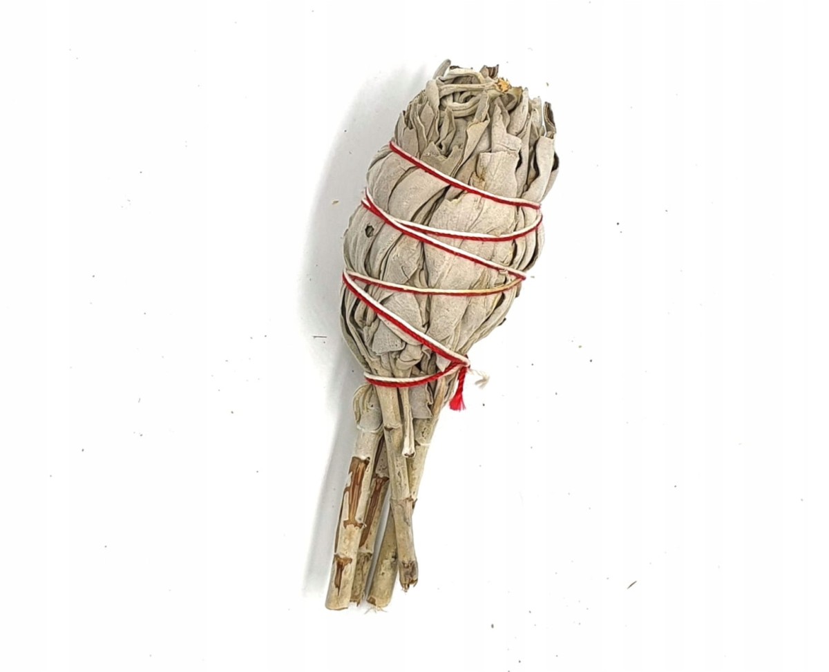3508548.jpg