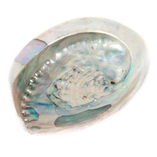 76565db32e91aa5f6d79c92d737e2e9d.jpeg