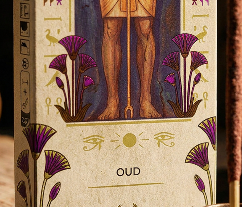 56a18cb3571316fc091bc2cab10a3423.png