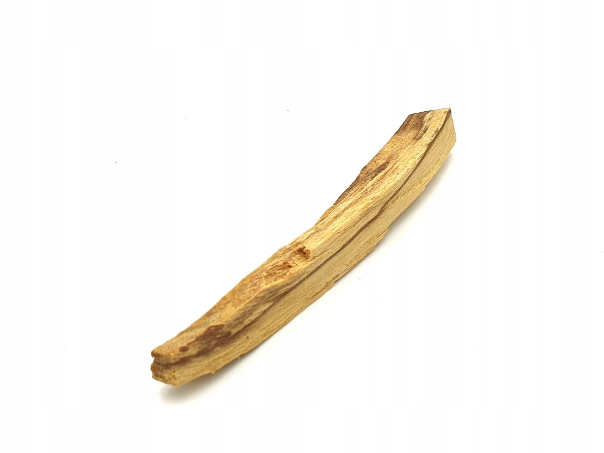 3508573.jpg
